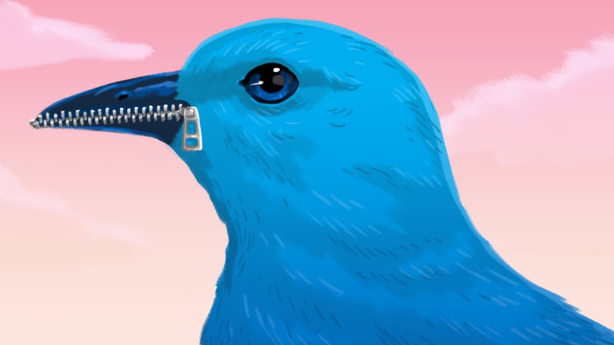 nooo the birdie